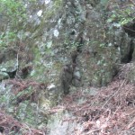 玉置神社の溶岩2