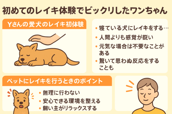 初めてのレイキ体験でビックリしたワンちゃん2